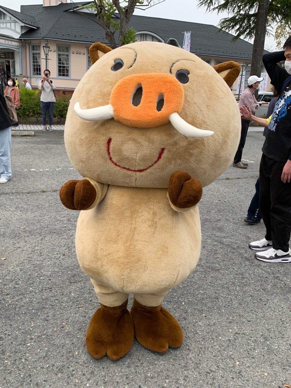 サンプル画像